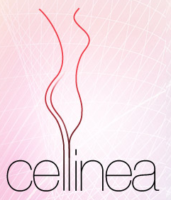 Promo codes Cellinea