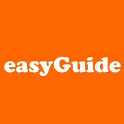 Promo codes easyGuide