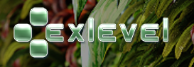 Promo codes Exlevel