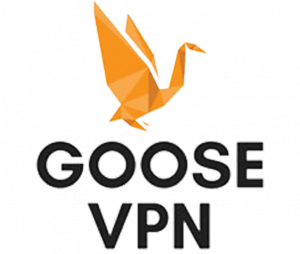 Promo codes Goose VPN