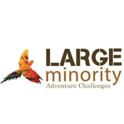 Promo codes Large Minority Travel