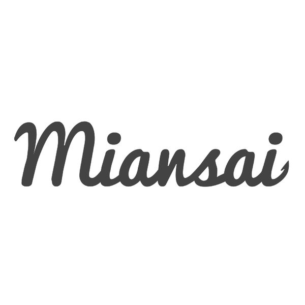 Promo codes Miansai