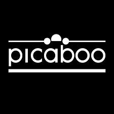 Promo codes Picaboo