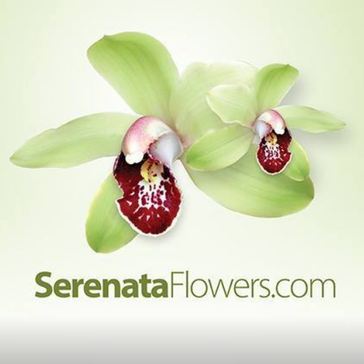Promo codes Serenata Flowers