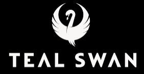 Promo codes Teal Swan