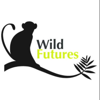 Promo codes Wild Futures