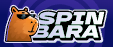 Promo codes Spinbara